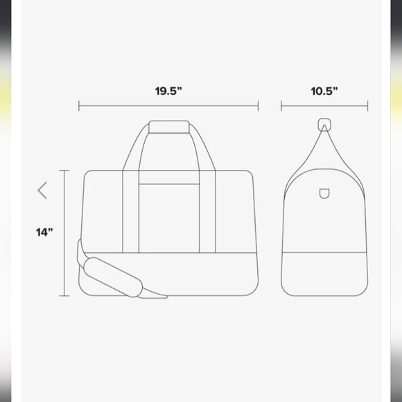 CALPAK Stevyn Duffel Bag Pink Shoe Compartment Travel Gym Weekend Zip Closure - Picture 4 of 4